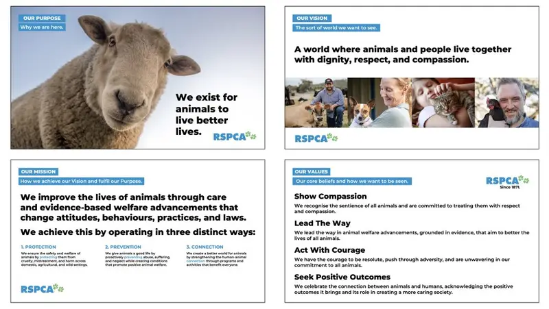 RSPCA brand strategy showing its purpose, vision, mission and values, including compassion, courage, leadership and positive outcomes for animals and people.