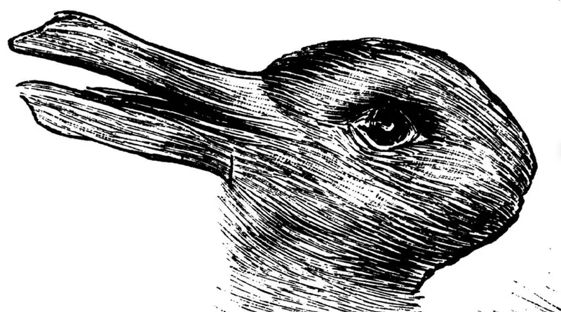 Classic duck-rabbit illusion: a drawing that reads as either a duck or a rabbit
